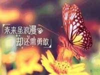 镇江恒桉建材商贸有限公司