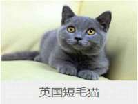 镇江恒桉建材商贸有限公司