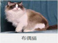 镇江恒桉建材商贸有限公司