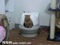 镇江恒桉建材商贸有限公司