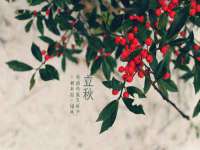 镇江恒桉建材商贸有限公司