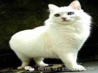 镇江恒桉建材商贸有限公司