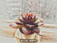 镇江恒桉建材商贸有限公司