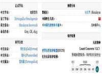 镇江恒桉建材商贸有限公司