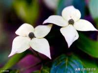 镇江恒桉建材商贸有限公司
