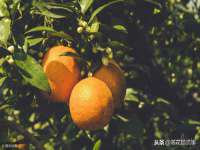 镇江恒桉建材商贸有限公司