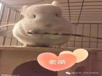 镇江恒桉建材商贸有限公司