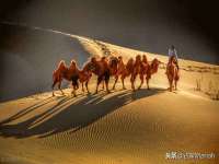 镇江恒桉建材商贸有限公司