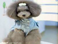 镇江恒桉建材商贸有限公司
