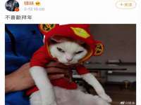 镇江恒桉建材商贸有限公司